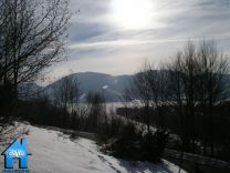 Z462 picture