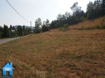 Z463 picture