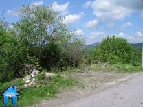 Z493A picture
