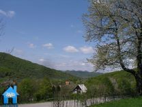 Z494 picture