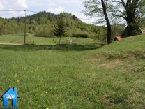 Z495 picture