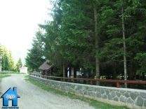 Z519 picture
