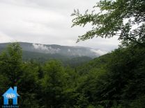 Z542 picture