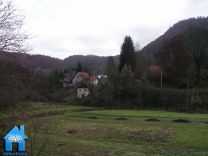 Z554 picture