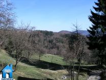 Z579 picture