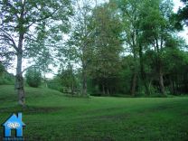 Z606B picture