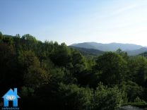 Z606 picture