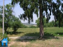Z619 picture