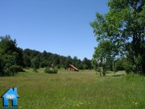 Z623 picture