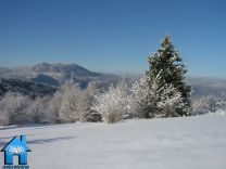 Z652 picture