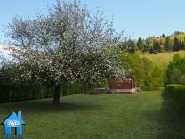 Z699 picture