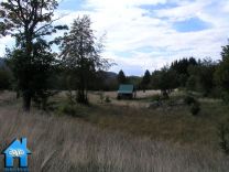 Z703B picture