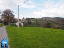 Z763 picture