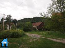 Z799 picture