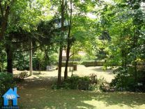 Z835 picture