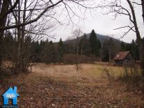 Z872 picture