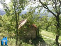 Z874 picture
