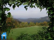 Z905 picture