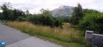Z983 picture